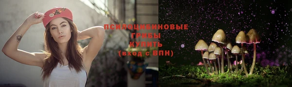 spice Балахна