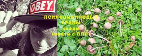 мяу мяу кристалл Баксан